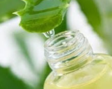 Aloe vera juice, Application : Drinking