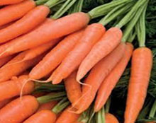 Fresh carrot, Quality Available : A Grade