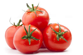 Fresh tomato, Packaging Size : 5-20kg