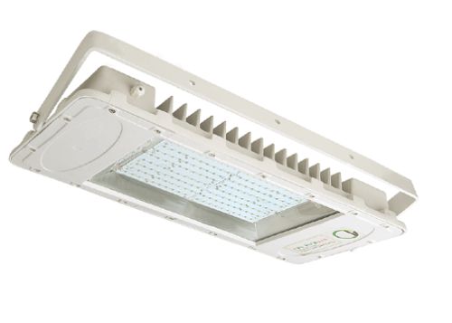 LED Flood Light