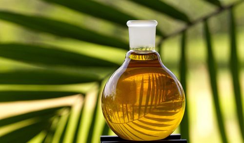 Non-Refined Palm Oil