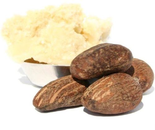 Shea Butter Nuts
