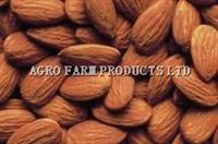 Almond, Storage Instruction : Dry/ Room Temperature