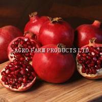 Organic Pomegranate, Packaging Type : red, Variety : 4