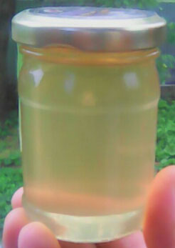 Acacia Honey