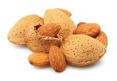 Shelled Almonds