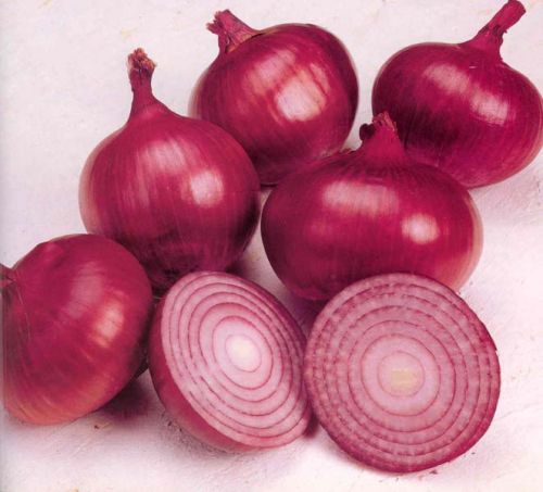 Organic Red Onions, For Cooking
