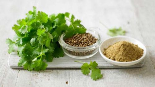 Coriander, Shelf Life : 1years