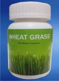 Wheat Grass Capsules