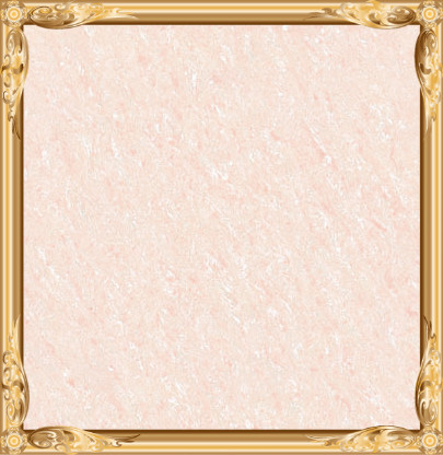 Polished Porcelain Tiles