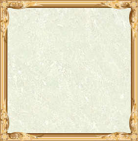 Polished Porcelain Tiles