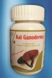 Ganoderma Capsules