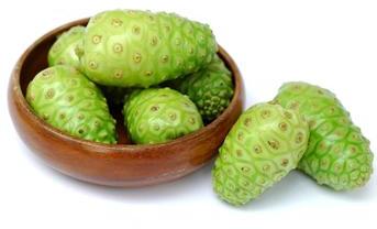 Noni Capsules