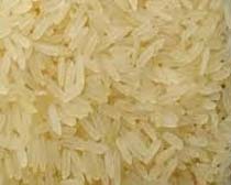 IR36 Rice