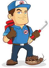 Anti Termite Resin Adhesive