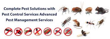 General Pest Control Service