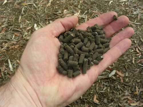 Organic Fertilizer