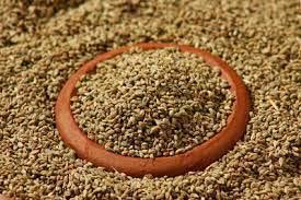 Raw ajwain seeds, Purity : 99.95%, Packaging Type : Plastic Packet