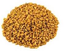 Organic Fenugreek Seeds, Packaging Type : Jute Bags, Plastic Packets, PP Bags