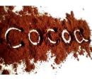 Cocoa Extract