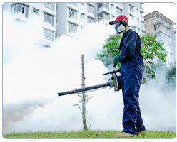 Smoke Fumigation Services