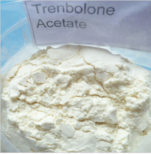 Tren Acetate 99% Purity Steroids Powder Trenbolone Acetate