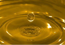 Crude Sunflower Oil