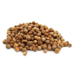 Organic Coriander