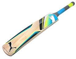 Cricket Bat