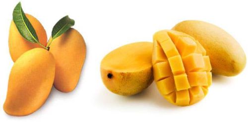 Fresh Mango,fresh Mango