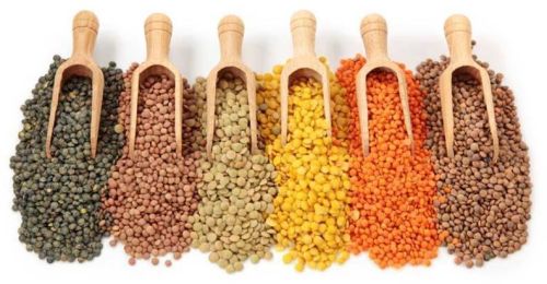 Indian Pulses