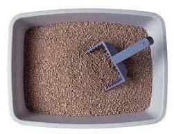 Non-Clumping Attapulgite Cat Litter Granules, Purity : 99%