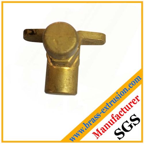 Brass Hot Extrusion Hot Pressing Brass Hot Forgings Components Screws