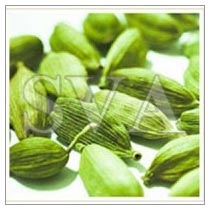 Cardamom Oil