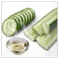 Cucumber Oil