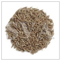Cumin Oil