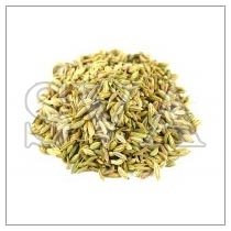 Fennel Oil