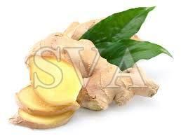 Ginger Oil