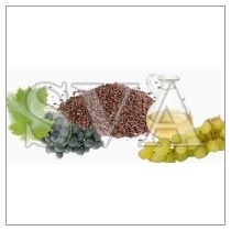 Grape Seed Oil