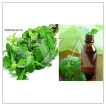 Peppermint Oil, Packaging Type : 25 kg
