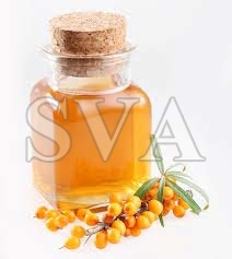 Sea Buckthorn Oil