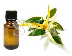 Ylang Ylang Oil