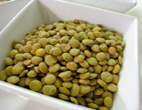 Green Lentils