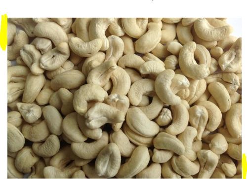 Raw Cashew Nuts, Roasted Cashew Nuts, Dried Cashew Nut