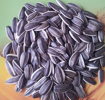 Sunflower seeds