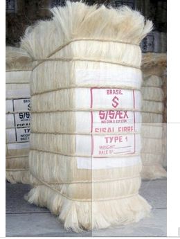 Raw Sisal Fiber
