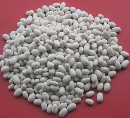 White kidney beans, Material : Beans