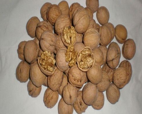 Walnuts, Usage : Light Sweet