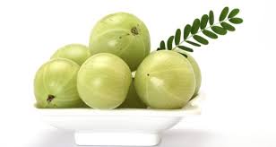 Fresh Amla, For Cooking, Medicine, Color : Green