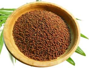 Mustard seeds, Purity : 99.9%